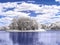 Summer landscape. Lake. Infrared photography. Colored