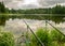 Summer landscape by the lake, trees and cumulus clouds reflect in the lake water, shore overgrown with reeds, lake grass and