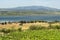 Summer landscape in Languedoc-Roussillon (France)