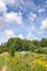 Summer landscape in Latvia, East Europe. Green trees and small greenhouse.