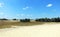 Summer landscape of Letea sand dunes, Danube Delta