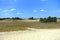 Summer landscape of Letea sand dunes, Danube Delta