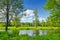 Summer landscape with lonely tree and blue sky