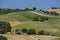 Summer landscape in Marches Italy near Montecassiano