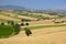 Summer landscape in Marches Italy near Montefano