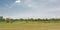 Summer landscape in the marsh in the Flemish countryside