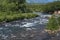 Summer landscape of mountain river and green forest on riverbank on sunny day