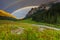 Summer landscape in mountains with Flowers, a rainbow