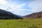 Summer landscape in the mountains. Tall trees of a Christmas tree, the national dwelling is a yurt. Kyrgyzstan Tourism and travel