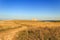 Summer landscape: a nature reserve of Torre Guaceto.BRINDISI (Apulia) -ITALY- Race to the watchtower. Mediterranean maqu