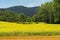 Summer landscape near Monte Santa Maria Tiberina, Umbria, Italy