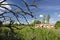 Summer landscape with old abandoned farm ruins