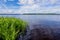 Summer landscape overgrown bank of the russian volga river on a sunny day