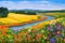 Summer landscape painting of a sun-drenched field of flowers with a winding river