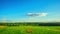 Summer landscape, panoramic time-lapse