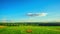 Summer landscape, panoramic timelapse