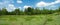 Summer landscape in the park. Panorama