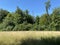 Summer landscape in parks and along recreational trails in the city of ZÃ¼rich, Zuerich or Zurich - Switzerland / Schweiz
