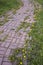 Summer landscape with pathway through yellow dandelion field. Bright summer feeling in rural road. Wild flowers blooming