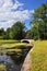 Summer landscape of the Pavlovsk garden, Pil-Tower pavilion.