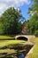 Summer landscape of the Pavlovsk garden, Pil-Tower pavilion.