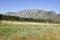 Summer landscape in Piatra Secuiului Mountain (1129m), Transylvania, Romania, Europe