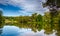 Summer landscape, pond and trees around it