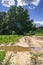 Summer landscape. Puddle on the rural dirt road along the forest, Moscow suburbs, Russia.