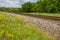 Summer landscape with railway, trees and wildflowers