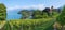 Summer landscape rebberg vineyard, view to lake thun and spiez castle. scenic destination bernese oberland, switzerland