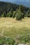 Summer landscape of Rhodope Mountains near Snezhanka peak and ski resort Pamporovo, Smolyan Region, Bulgaria