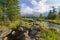 Summer landscape with river, cloudy sky, forest and grass and flowers