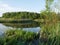 Summer landscape. River. Lots of green grass.