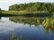 Summer landscape. River. Lots of green grass.