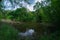 Summer landscape river in the woods