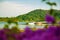 Summer landscape. rural sunny landscape with mountain near the Sea.