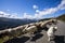 Summer landscape and sheeps in Anie peak, Navarra, Pyrenees, Spain