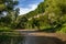 Summer landscape with the Smotrych River, which flows in the canyon.