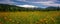 Summer landscape with snow-capped mountains and flowers, Russia, Altai