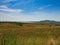 Summer landscape in South Moravia, Czehc republic