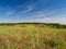 Summer landscape in South Moravia, Czehc republic