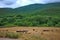 Summer landscape from the southern Talysh region of Azerbaijan