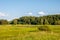 Summer landscape on a sunny day. Forest, meadows and blue sky with clouds.