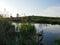 Summer landscape. Sunset. River. Lots of green grass.