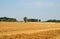 Summer landscape in swabian alb with harvested field