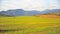 Summer landscape in Tatras national park