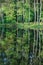 Summer landscape with trees reflection in lake