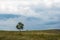 Summer landscape with trees standing alone and a stormy sky