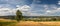 Summer landscape, in the valley of the town of Frymburk near the Lipno reservoir, Czech republic