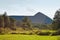 Summer landscape - view of the post-mining waste dump at the mine near the town Rydultowy